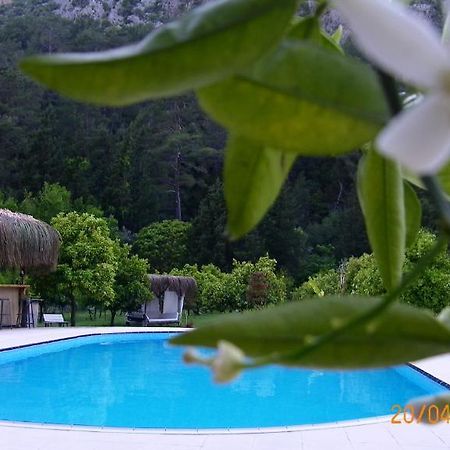 Portalimo Lodge Hotel - Adult Only +12 Cirali Exterior foto