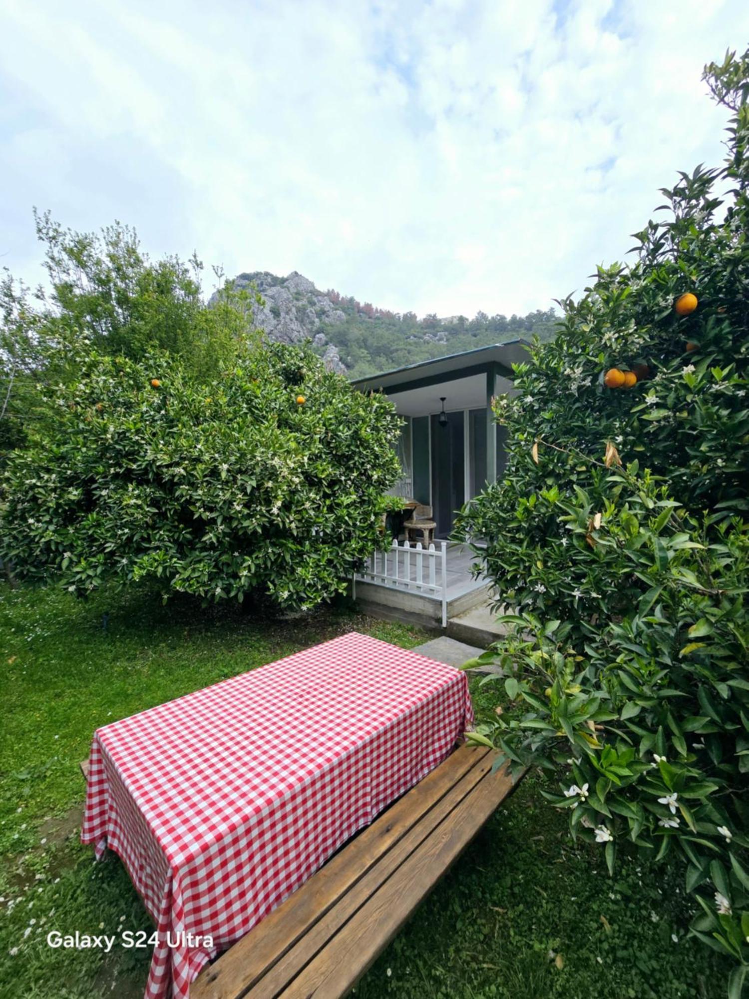 Portalimo Lodge Hotel - Adult Only +12 Cirali Exterior foto
