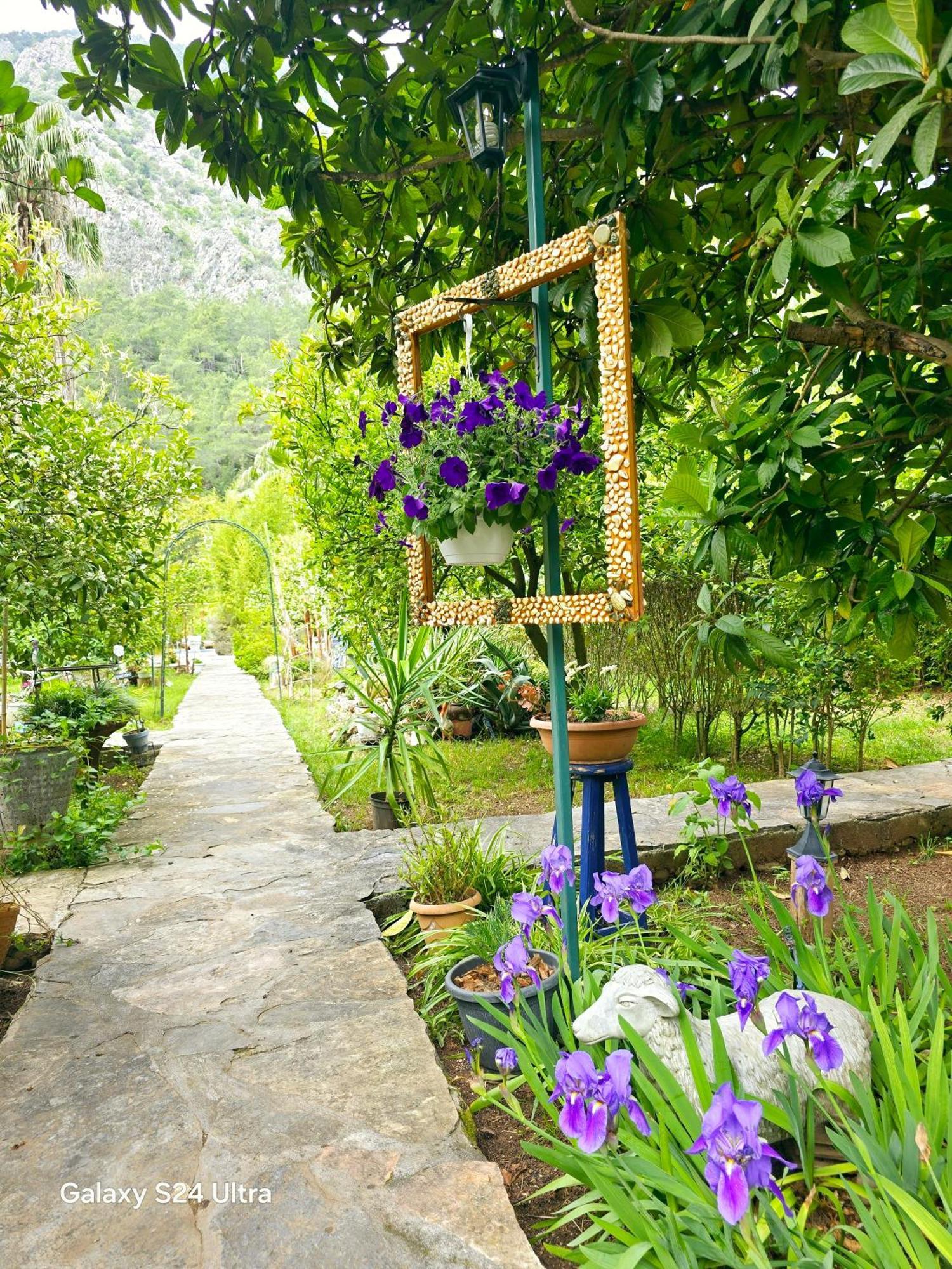 Portalimo Lodge Hotel - Adult Only +12 Cirali Exterior foto
